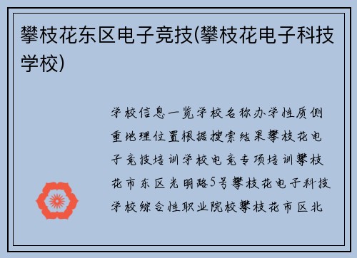 攀枝花东区电子竞技(攀枝花电子科技学校)