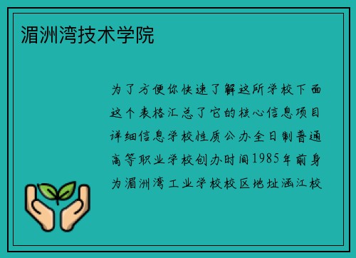 湄洲湾技术学院